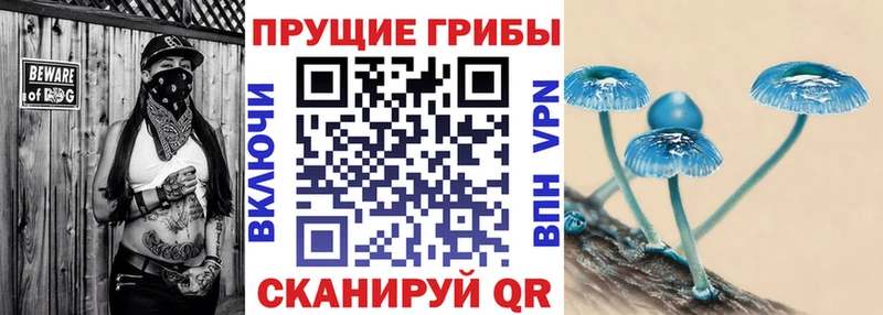 Купить закладки  Конаково  Псилоцибиновые грибы прущие грибы 